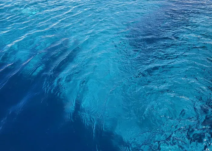 Antonio 오파티아