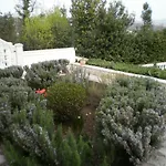 Apartment Antonio