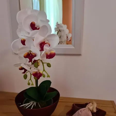 Apartment Antonio Opatija