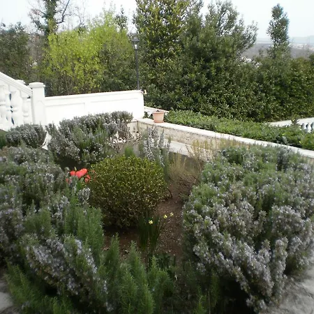 Apartman Antonio