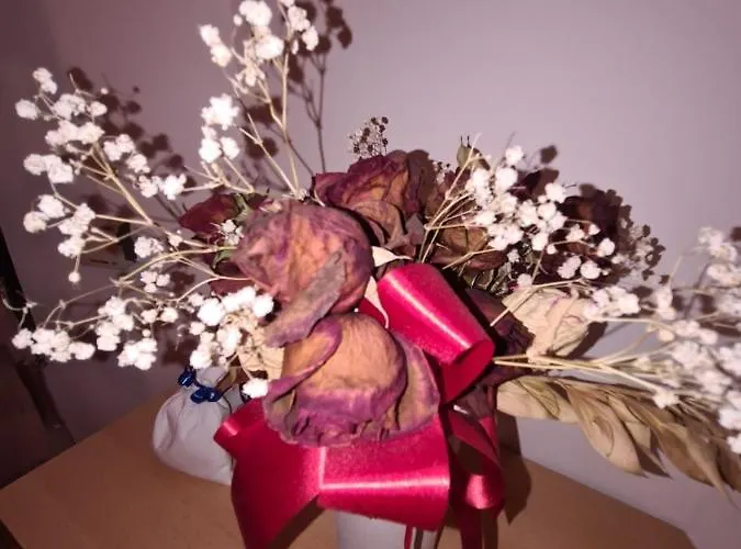 Apartamento Antonio Opatija