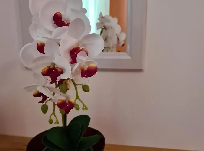 Apartament Antonio Opatija